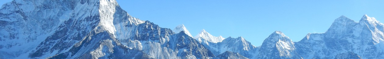 Laurence Biro's reflections on Life, Universe and Everything